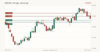 Biểu đồ hành động giá NZD/USD